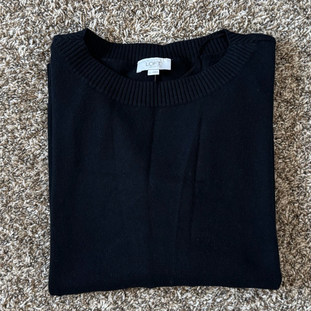 NWT Loft Outlet Long Sleeve Sweater size L